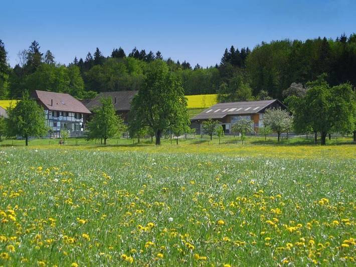 Bauernhof für 7 Personen, mit Terrasse und Garten in der Schweiz - 2
