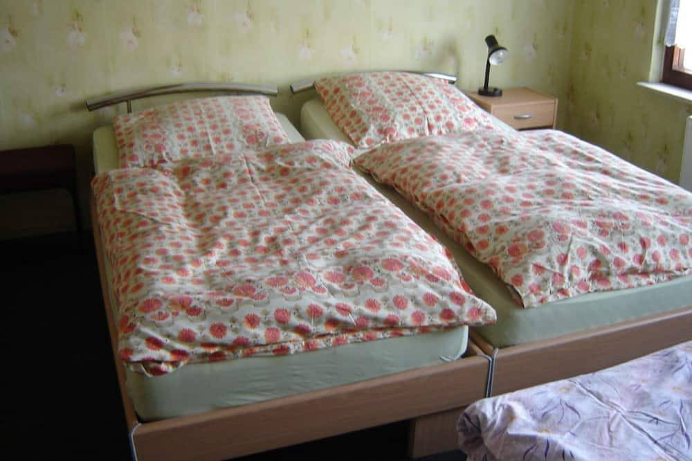 Entire apartment, Zimmervermietung Heide Fiege in Hartmannsdorf, Chemnitz (region)