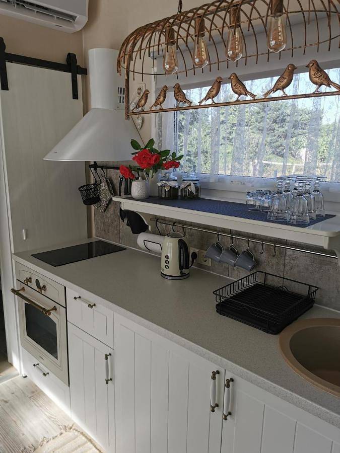 Location de vacances pour 6 personnes, avec jardin ainsi que vue et sauna, animaux acceptés dans Kolka