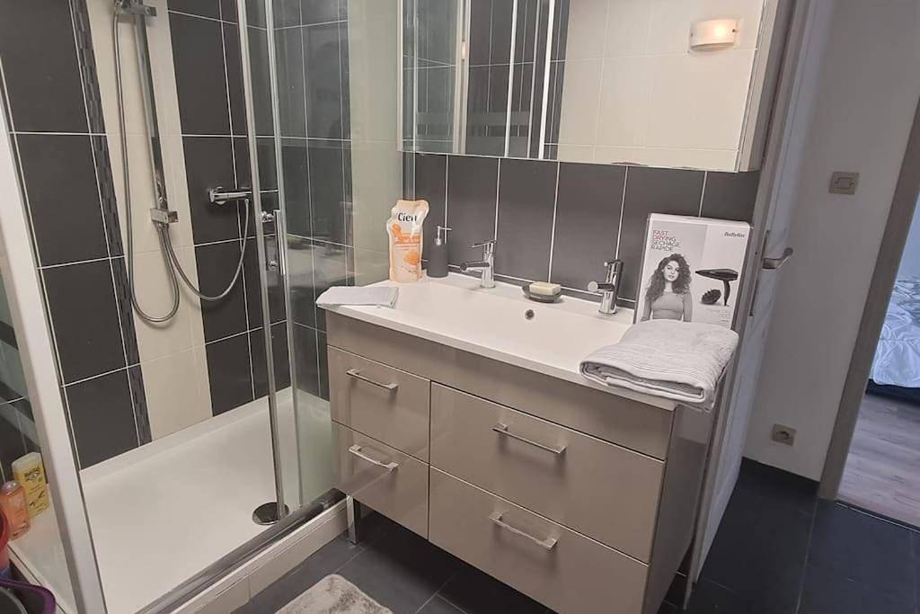 Appartement entier, Schirmeck centre appartement au pied du château in Schirmeck, Bas-Rhin Alsace