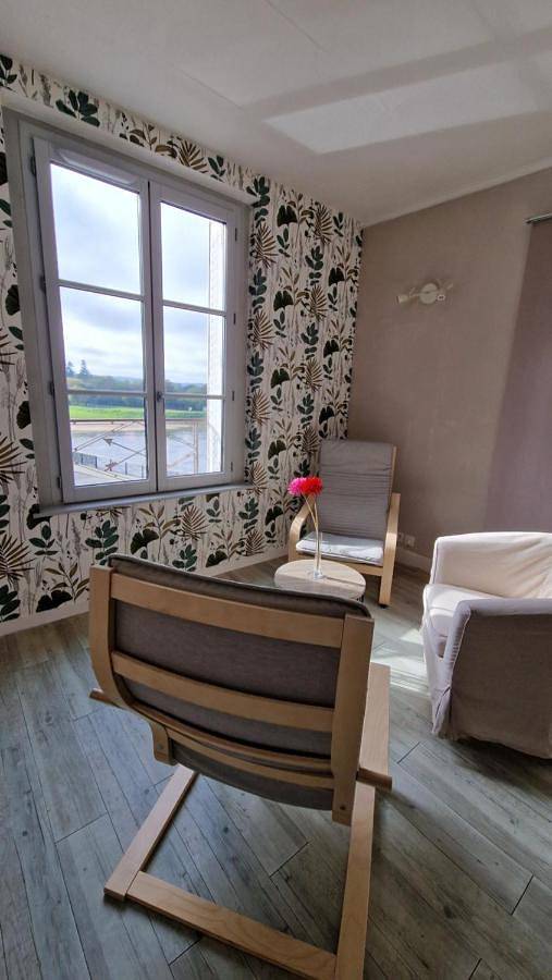 Appartement entier, Vaste appartement Le Family avec vue sur la Vienne in Chinon, Vallée de la Loire