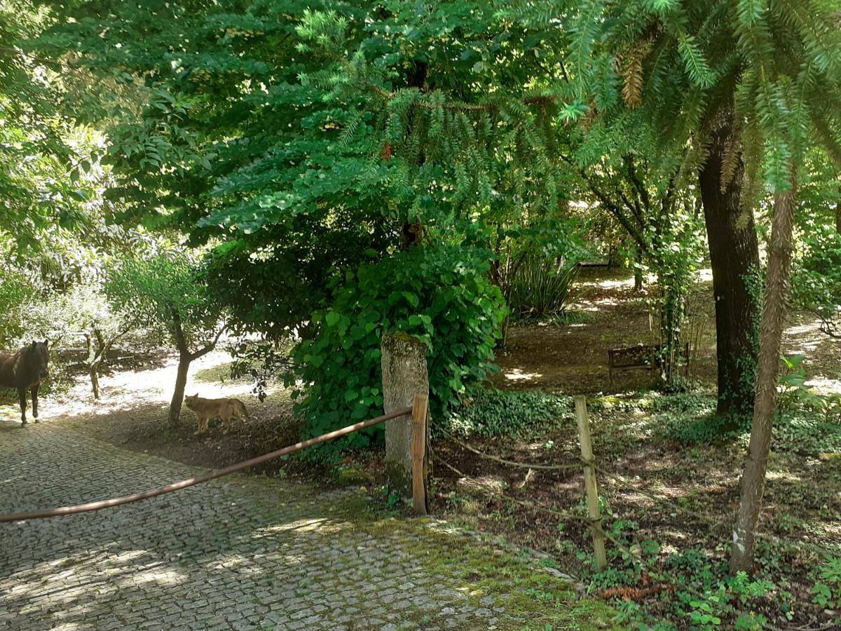 Cabana da Oliveira in Paredes de Viadores e Manhuncelos, Distrito do Porto