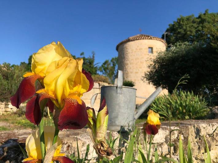 Location de vacances pour 2 personnes, avec piscine ainsi que jardin et vue à Terraube - 3