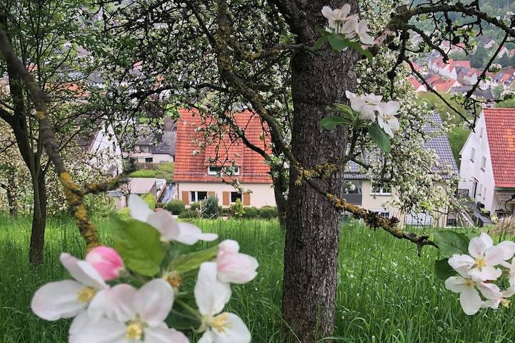 Ferienhaus für 10 Personen, mit Garten und Terrasse, mit Haustier im Weserbergland