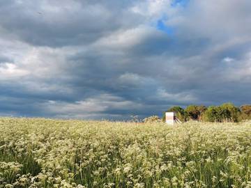 Ferieudlejning til 8 Personer i Præstø, Svenske Østersøen, Billede 3