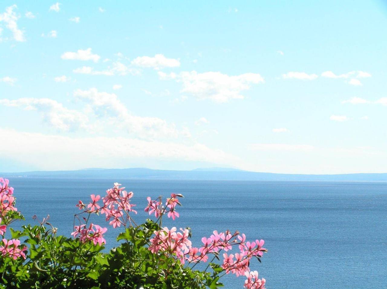 Guest House Lifestyle Holiday in Plaža Črnikovica, Opatija Riviera