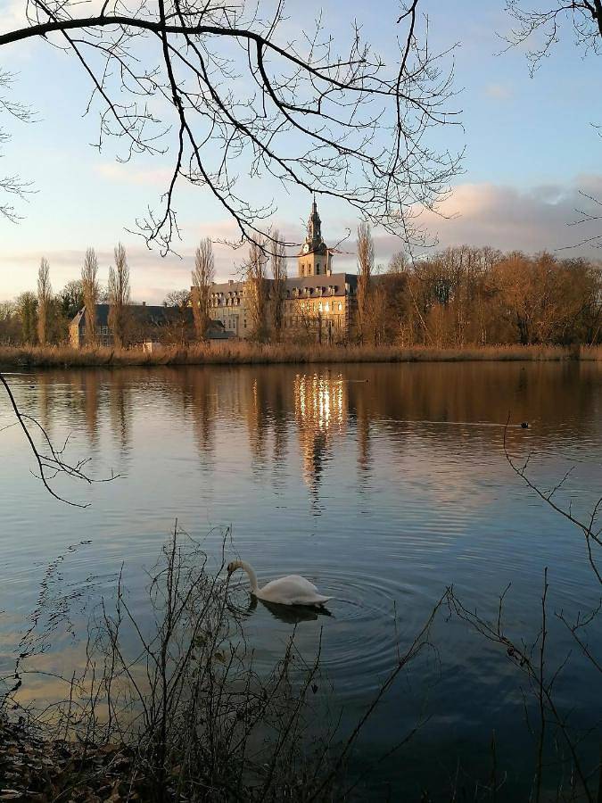 Studio's Park - Heverlee in Heverlee, Leuven