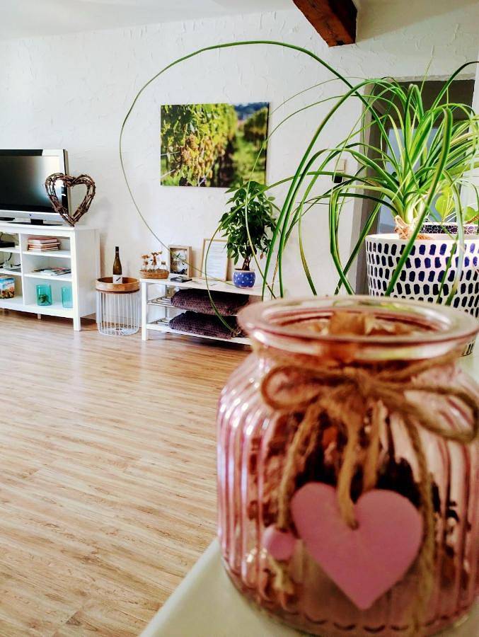 Ferienwohnung für 3 Personen, mit Balkon und Terrasse in Klingenmünster