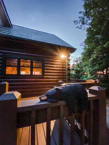 Log Cabin for 12 Guests in Chattahoochee National Forest, Fannin County, Picture 2
