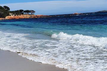 Location de vacances pour 8 personnes, avec piscine ainsi que jardin et jacuzzi à Santa-Maria-Poggio