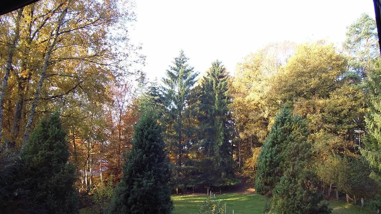 Ganze Ferienwohnung, Ferienwohnung für 2 Personen (60 m²) in Bispingen in Bispingen, Nordheide