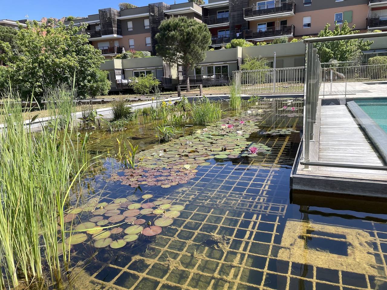 Rive Nature 502 in Saint-Raphaël, Côte méditerranéenne (France)