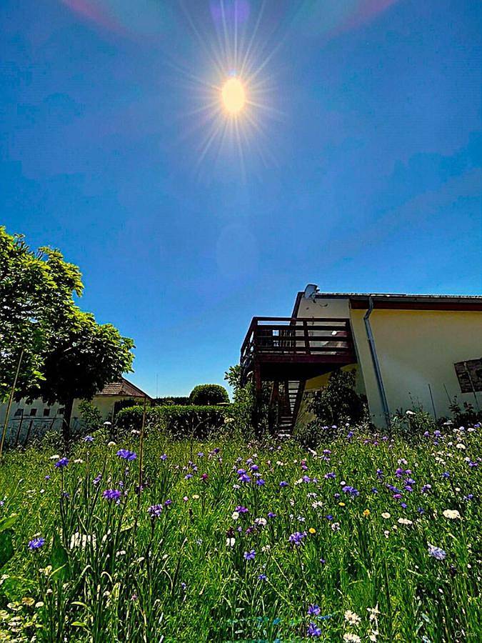 Gîte pour 4 personnes, avec jardin et vue, animaux acceptés à Vœgtlinshoffen - 2