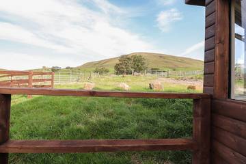 Cottage for 4 People in Forest of Bowland, North West England, Photo 3