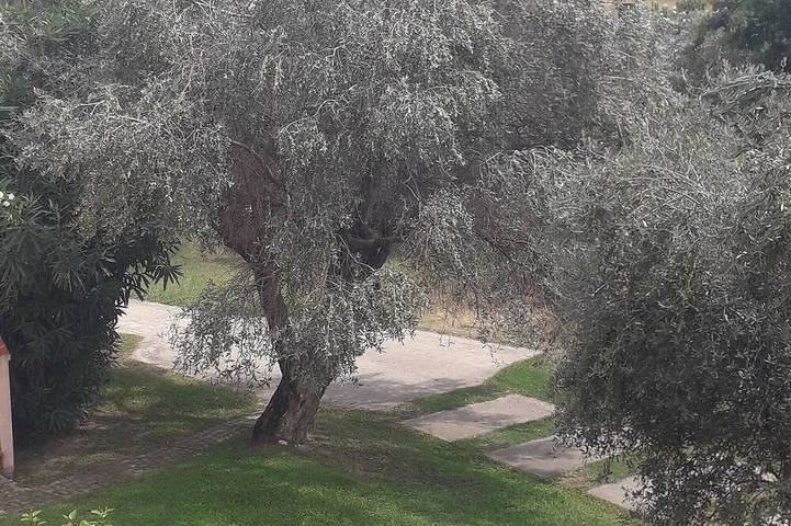 Ferienhaus für 4 Personen, mit Pool und Garten in Kalabrien - 4