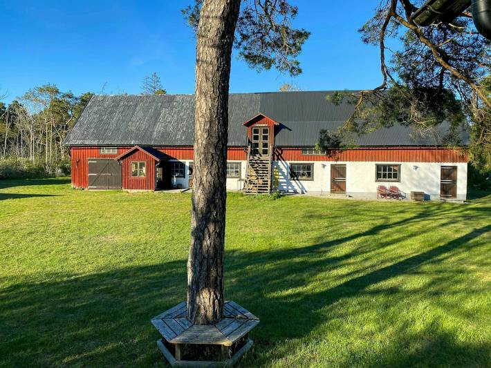 Gotländsk gård med fruktträd vid fiskehamn in Gothem, Gotland