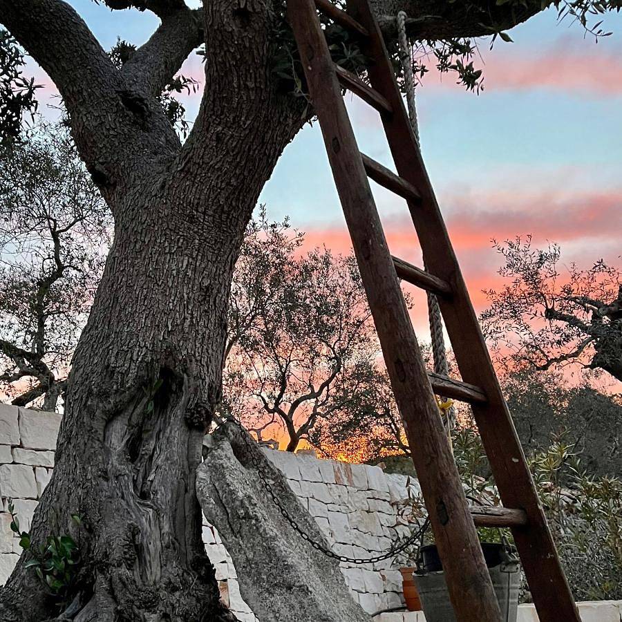 Quei Trulli Divini in Martina Franca, Provincia di Taranto