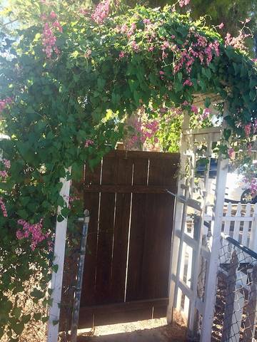 Vacation Home for 2 Guests in Gilbert, Arizona, Picture 4