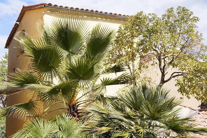Location de vacances pour 4 personnes, avec jardin et balcon à Callas - 4