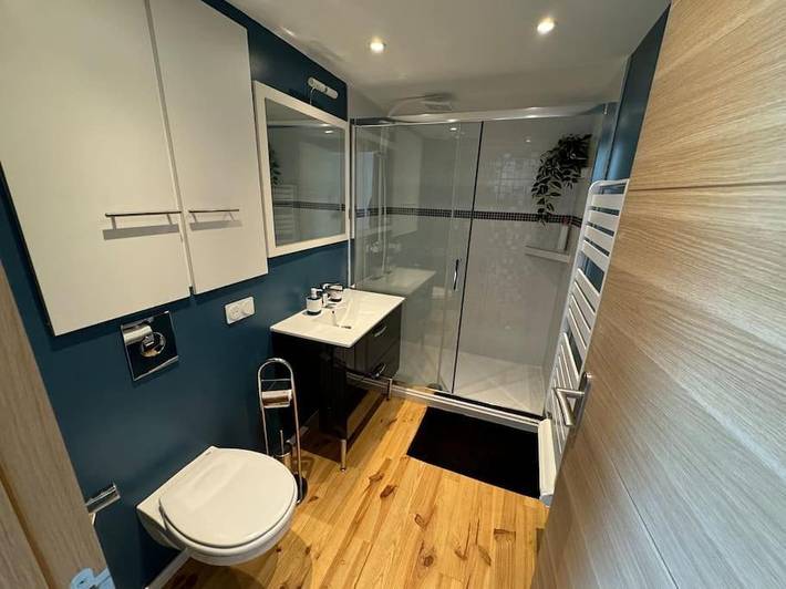 Gîte pour 4 personnes, avec terrasse, animaux acceptés à Rive-de-Gier - 3