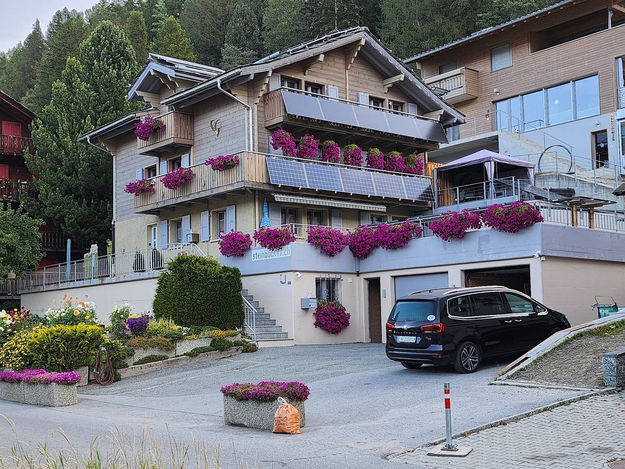 Geheel vakantieappartement, Vakantieappartement voor 4 personen met terras in Grächen, Walliser Alpen