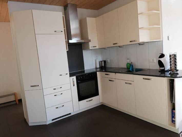 Ganze Wohnung, Wohnung Mit 2 Schlafzimmern “Alleschwendi” in Innertkirchen, Verwaltungskreis Interlaken-Oberhasli