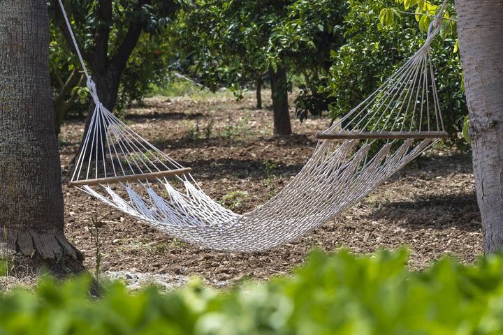 Finca mit Pool für 6 Personen, mit Terrasse und Garten in Manacor - 3