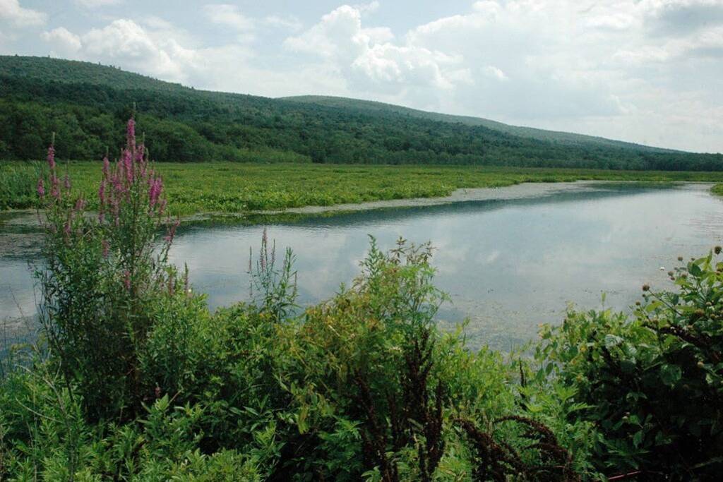 Log Cabin thront über einem Wasserfall mit Blick auf die Berge in Sullivan County