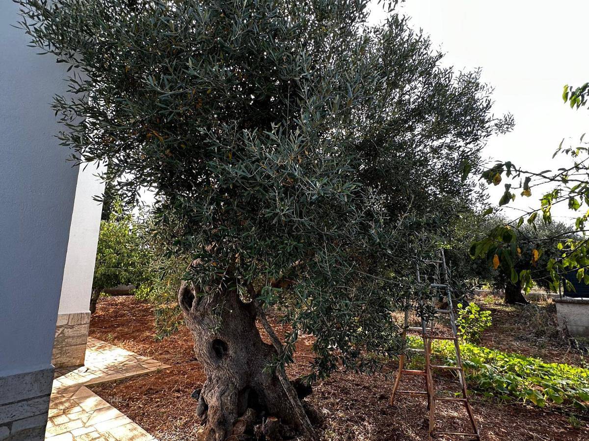 Appartamento intero, Casa Bianca Relax in Castellana Grotte, Provincia di Bari