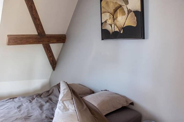 Appartement entier, Homerez - Apt cheminé Eguisheim in Eguisheim, Parc naturel régional des Ballons des Vosges