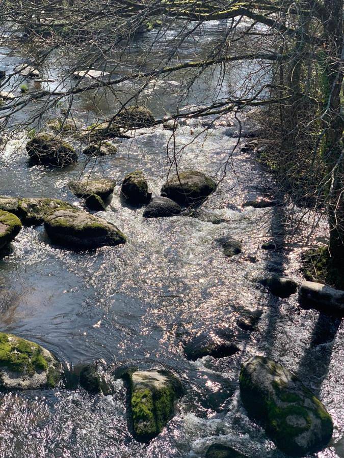 Location de vacances pour 12 personnes, avec sauna ainsi que terrasse et jacuzzi à Mortagne-sur-Sèvre - 3