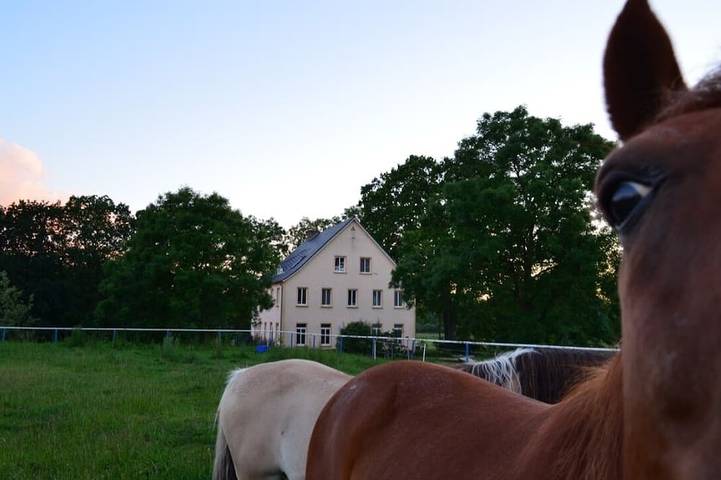 Ferienwohnung für 4 Personen, mit Garten - 1