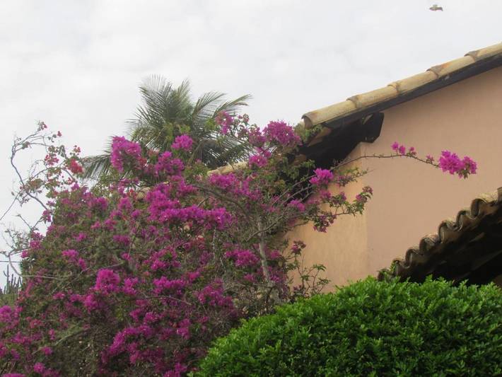 Location de vacances pour 4 personnes, avec piscine ainsi que jardin et vue, animaux acceptés à Arraial do Cabo - 4