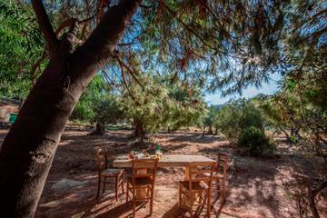 Agriturismo per 5 Persone in Castellammare del Golfo, Provincia di Trapani, Foto 3