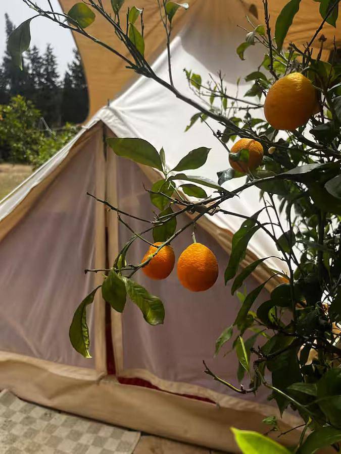 Tent in Cagliari Provinz