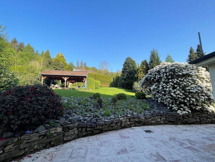 Ganze Ferienwohnung, Haus Grünzeit - Grünzeit B in Zorge, Harzvorland