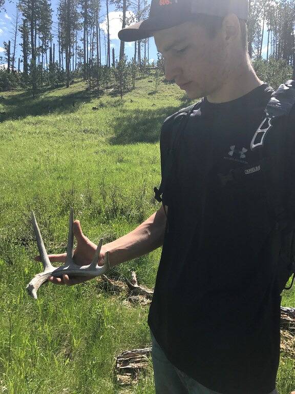 Centrally Located near everything the Black Hills has to offer! Open year round! in Black Hills