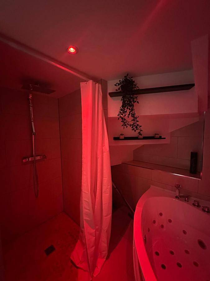Appartement entier, Le 7 - Appartement cosy souplex 4 personne Mulhouse centre - stationnement gratuit in Mulhouse, Région de Mulhouse