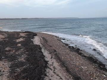 Ferieudlejning til 20 Personer i Morsø, Limfjord Nordjütland, Billede 3