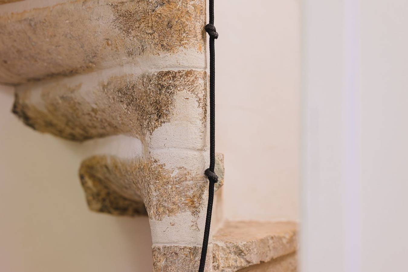 Appartement de vacances entier, Appartement - Papillon - Appartement (1-4 pers.) in Porrentruy, Canton du Jura