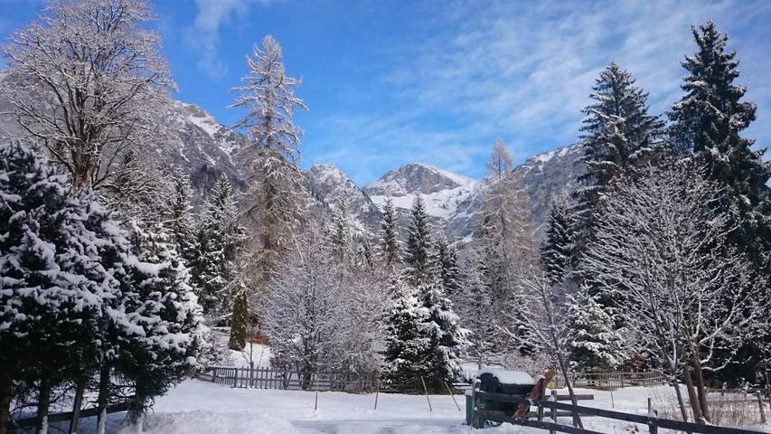 Maison d’hôte pour 4 personnes, avec vue et jardin à Ramsau am Dachstein - 3