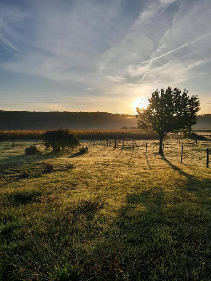 Gîte pour 2 personnes, avec vue et jardin dans Sarrouilles