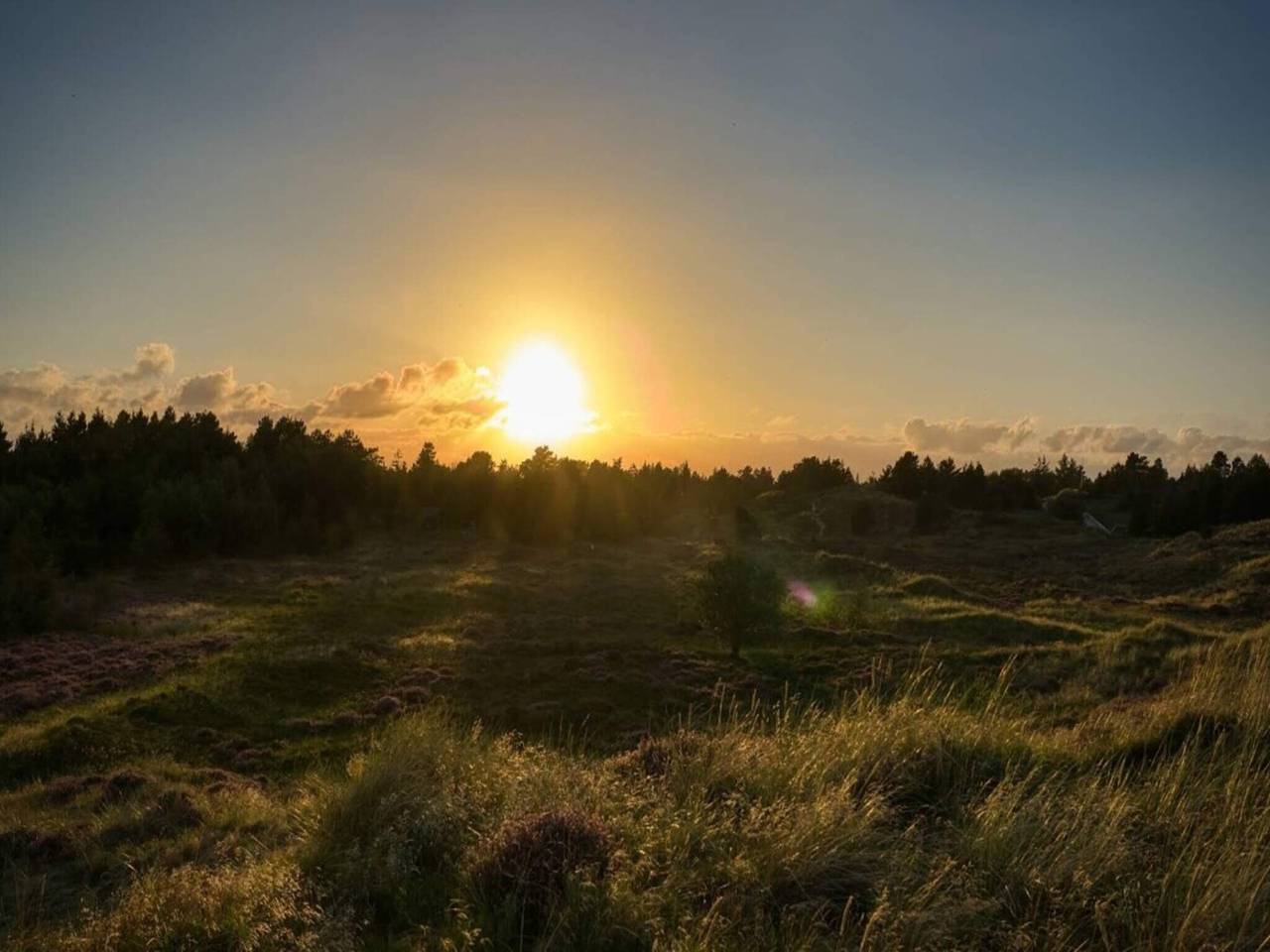Luxurioses Refugium auf Romo -- By Traum Ferienwohnungen in Sønderstrand, Tagholm