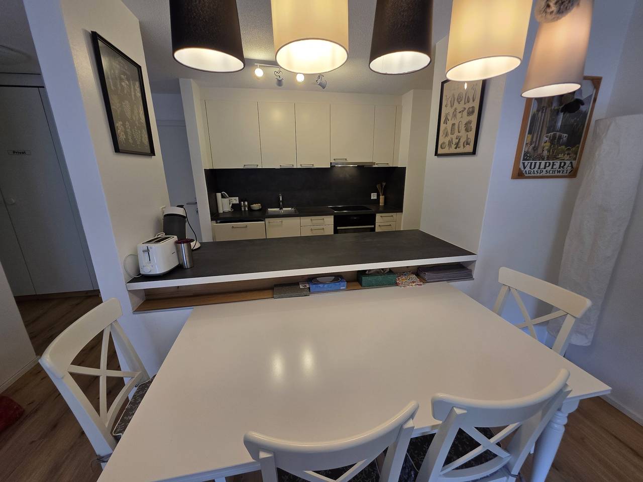 Ganze Wohnung, Pl 203 Helle frisch renovierte lichtdurchflutete Wohnung mit grosser Terrasse Richtung Scuol in Vulpera, Tarasp