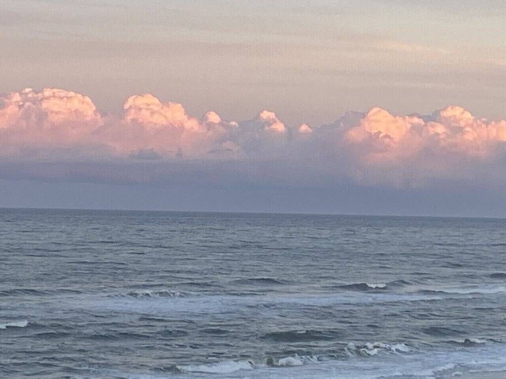Ganze Wohnung, Direct Ocean Front Penthouse Studio zu Fuß zu viel! in Daytona Beach, Florida