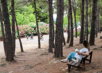 Camping para 2 Personas en Caspe, Provincia de Zaragoza, Foto 3