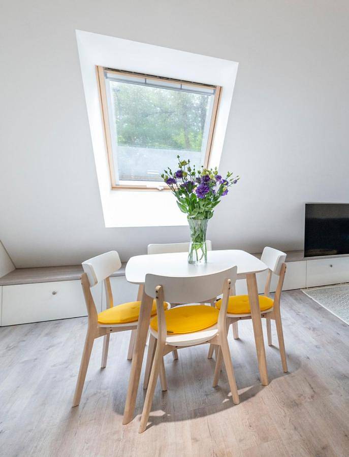 Apartament wakacyjny dla 4 osób, z widok w Kowno