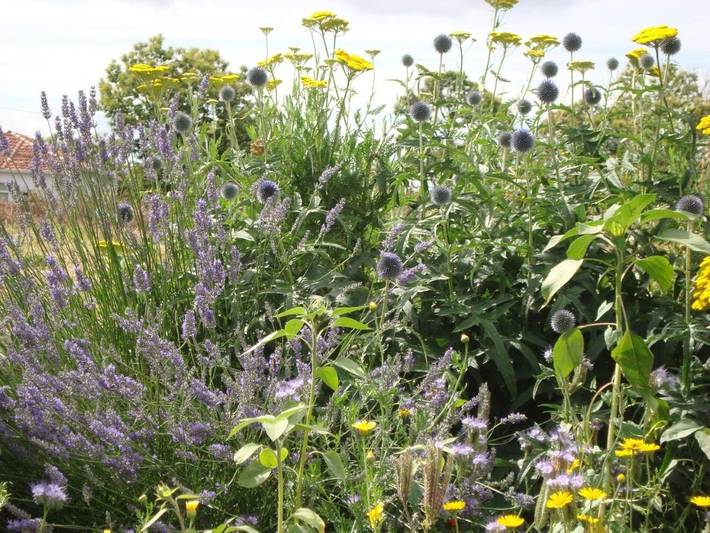 Casa rural para 4 personas, con vistas y terraza en Ribeira Sacra - 4