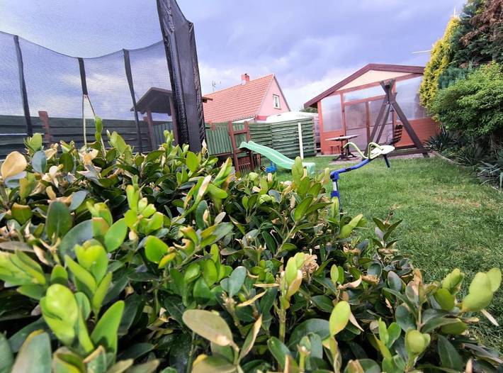 Chalet für 6 Personen, mit Terrasse und Garten, mit Haustier in Międzyzdroje - 4