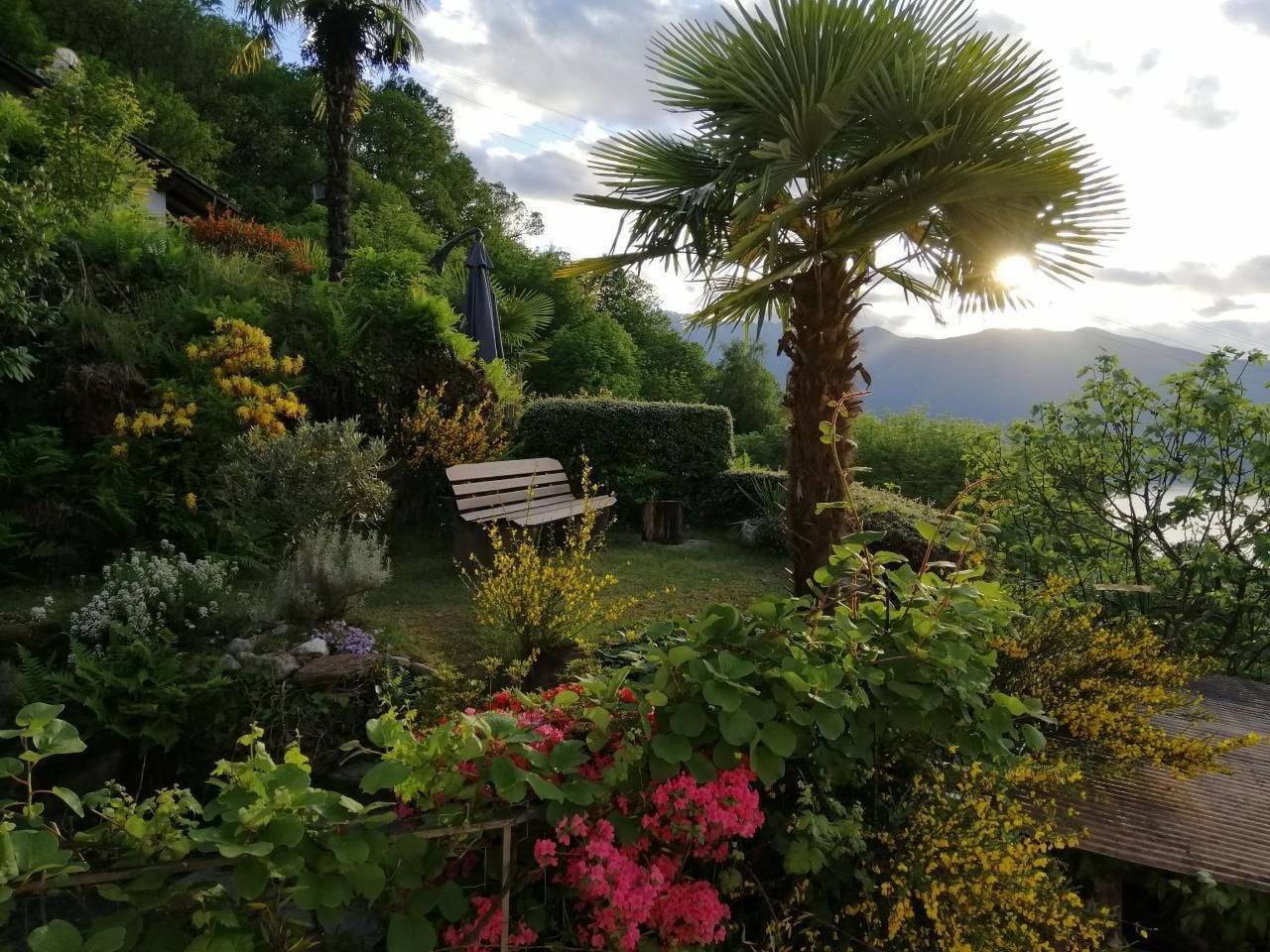 Ganze Wohnung, Casa Barbara in Piazzogna, Gambarogno